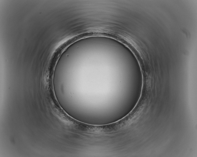 X0000111350971200907171139