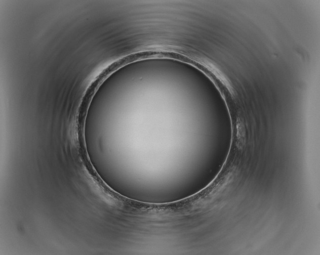 X0000111350972200907171139