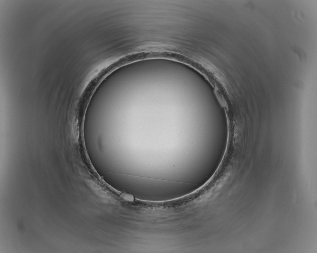 X0000111350973200907171139