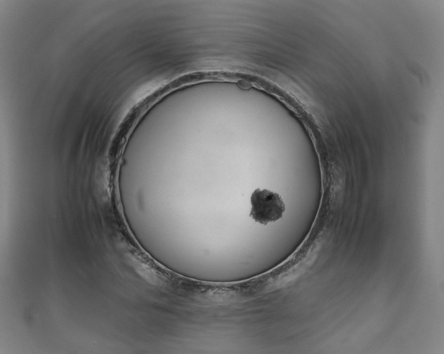 X0000111350974200907171139