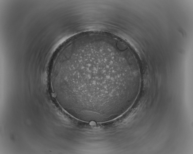 X0000111350975200907171139