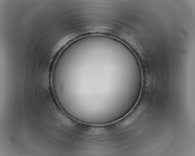 X0000111350978200907171139