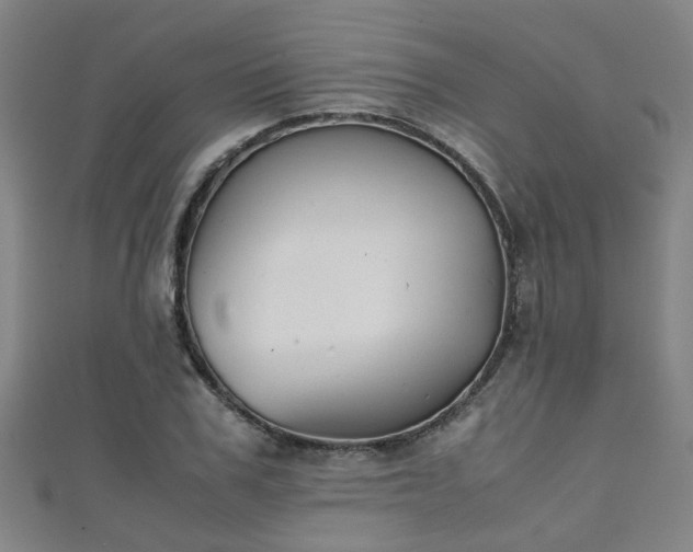 X0000111350979200907171139