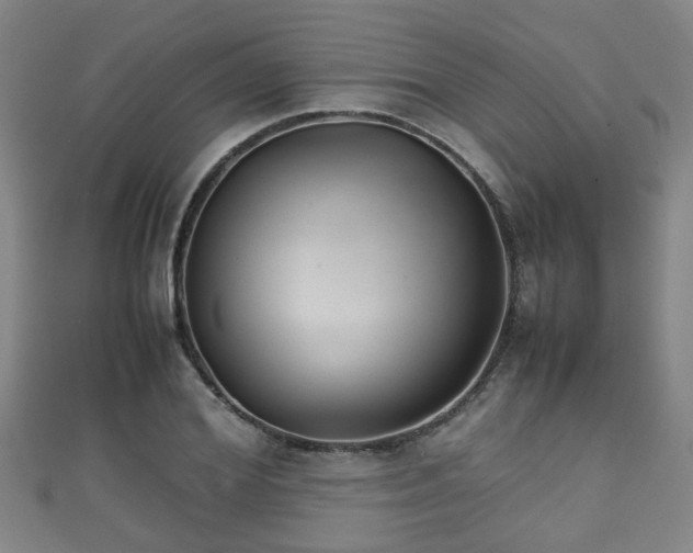 X0000111350980200907171139