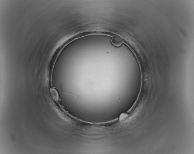 X0000111350981200907171139