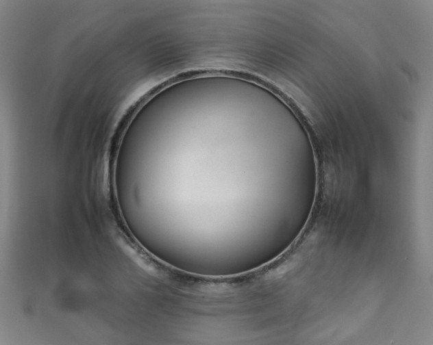 X0000111350982200907171139