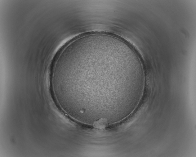 X0000111350983200907171139