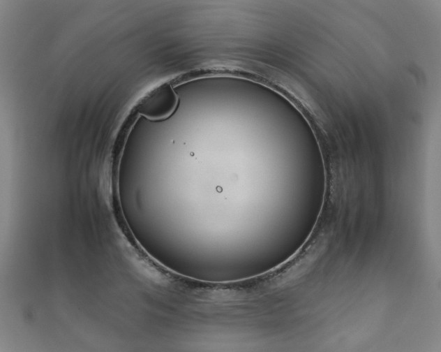 X0000111350984200907171139