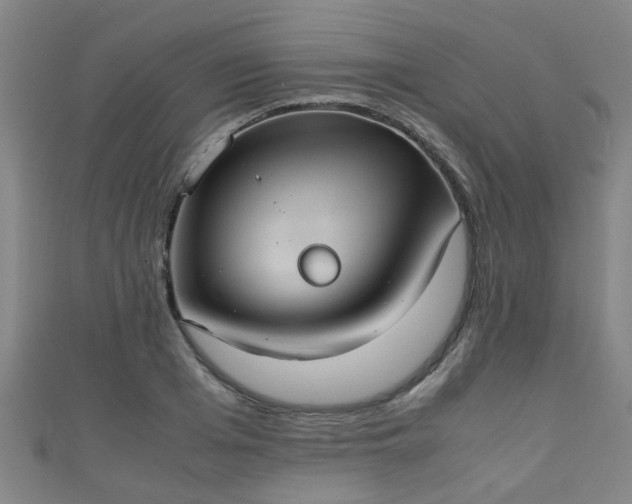 X0000111350985200907171139