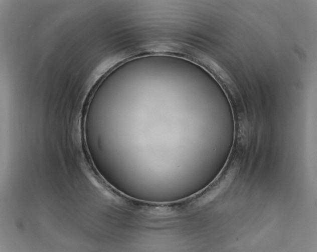 X0000111350986200907171139