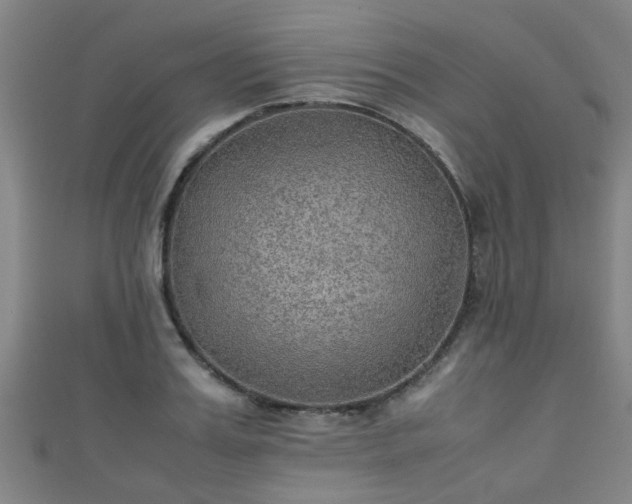 X0000111350987200907171139