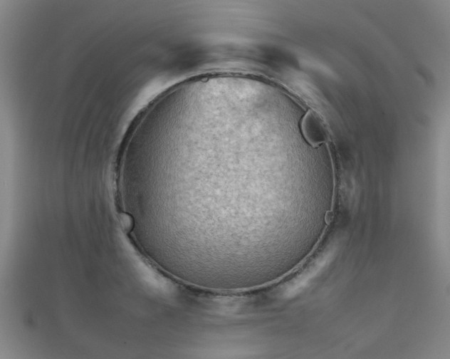 X0000111350989200907171139