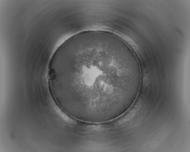 X0000111350990200907171139