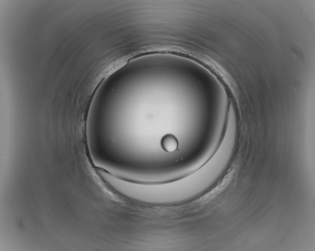 X0000111350993200907171139