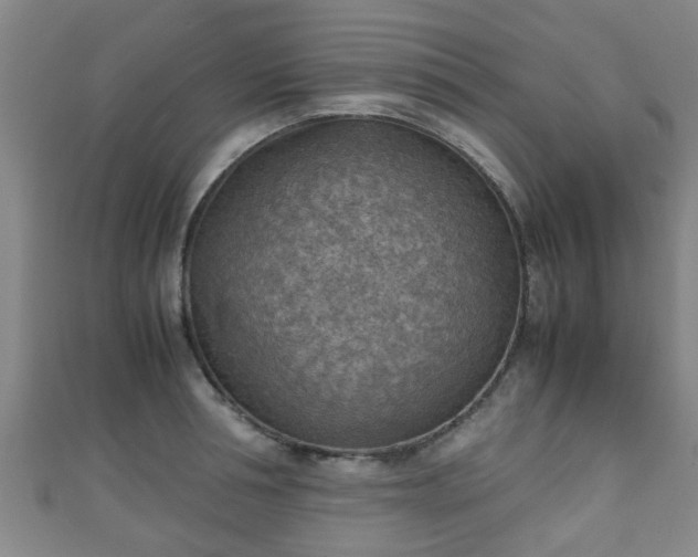 X0000111350994200907171139