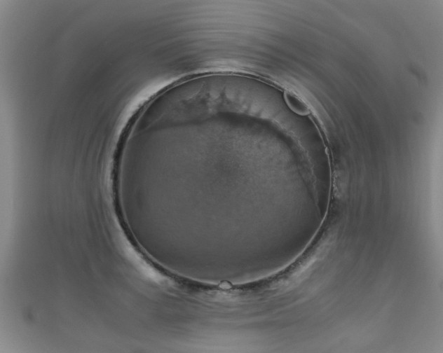 X0000111350995200907171139