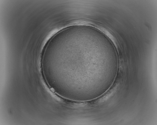 X0000111350997200907171139