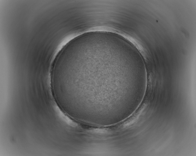 X0000111350998200907171139