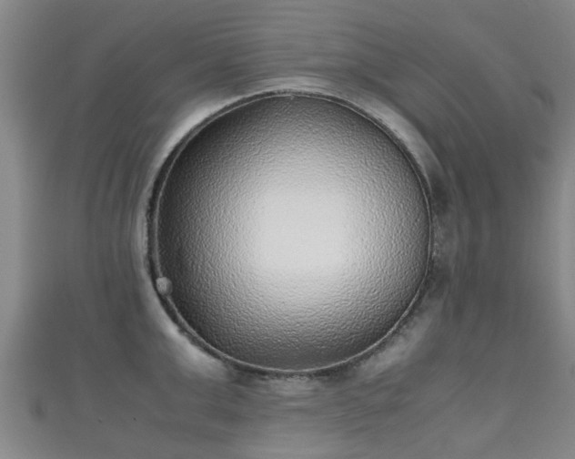 X0000111350999200907171139