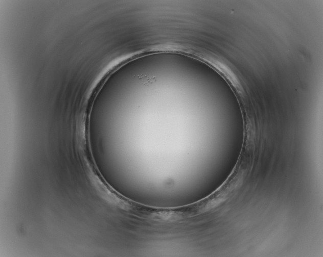 X0000111351000200907171139