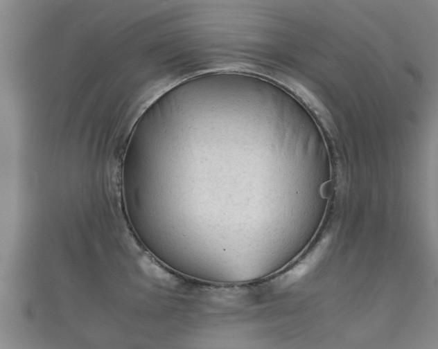 X0000111351001200907171139