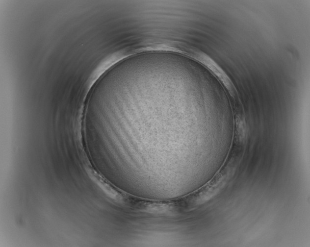 X0000111351002200907171139