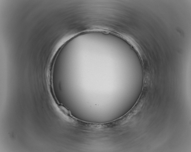 X0000111351003200907171139