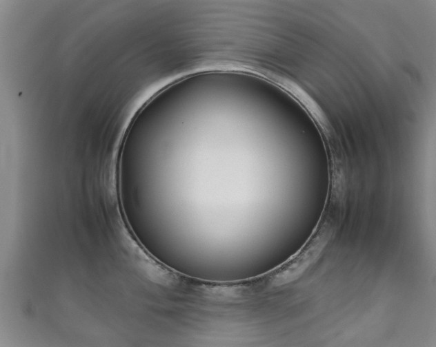 X0000111351004200907171139