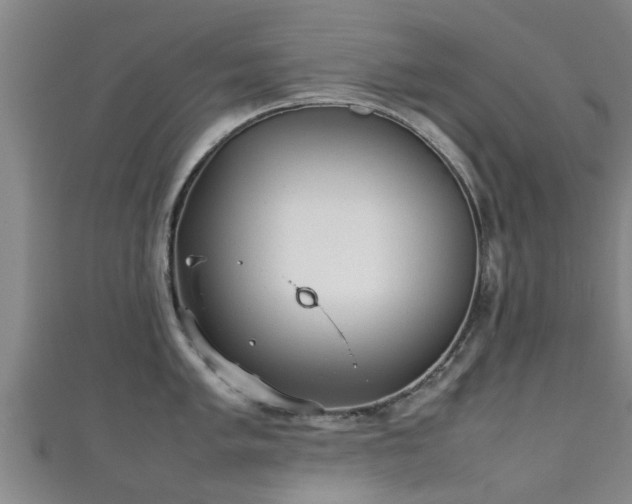 X0000111351005200907171139