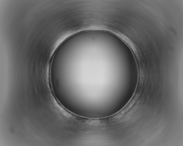 X0000111351006200907171139