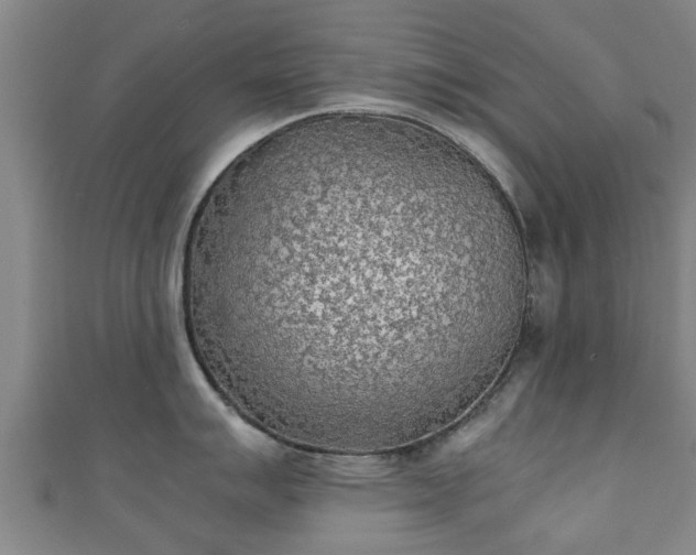 X0000111351007200907171139