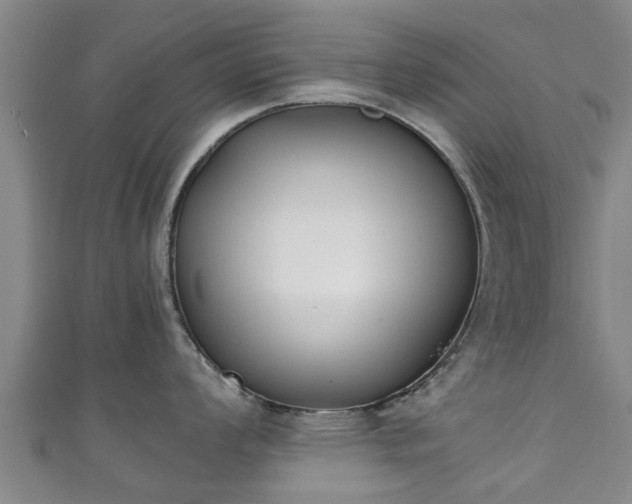 X0000111351008200907171139