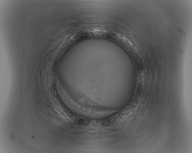 X0000111351009200907171138