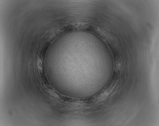 X0000111351010200907171138