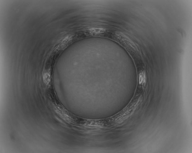 X0000111351011200907171138