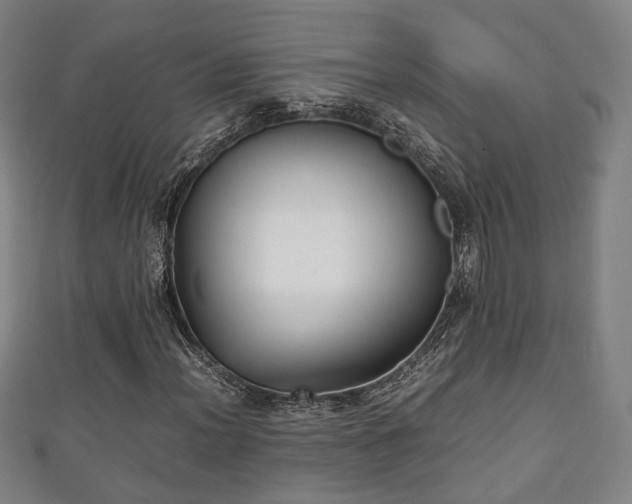 X0000111351012200907171138