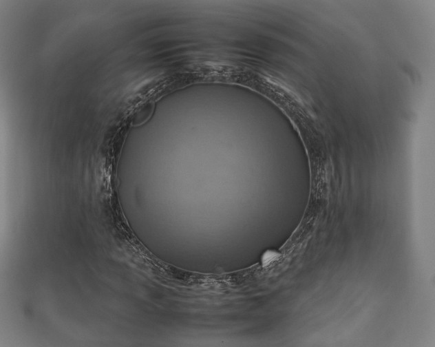 X0000111351013200907171138