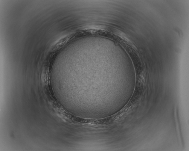 X0000111351014200907171138