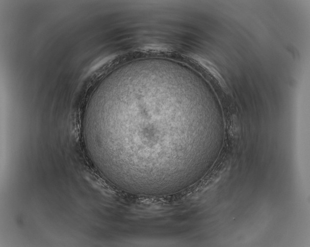 X0000111351015200907171138