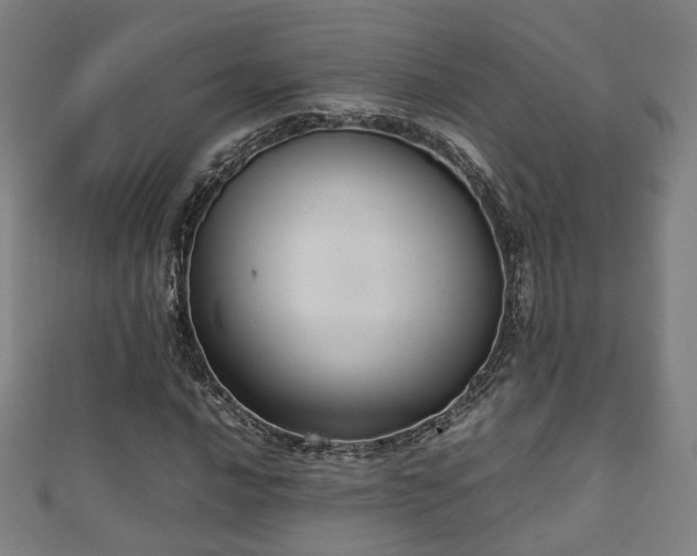 X0000111351016200907171138