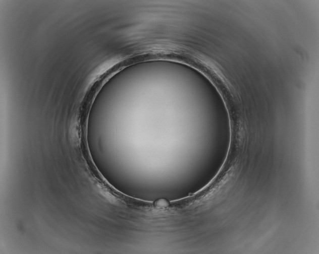 X0000111351018200907171138