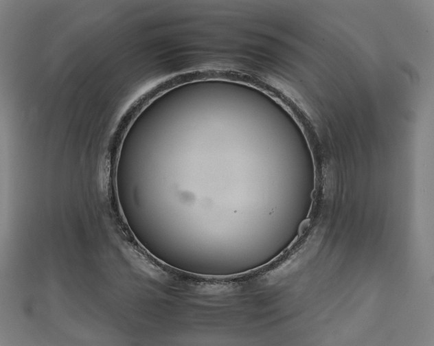 X0000111351021200907171138