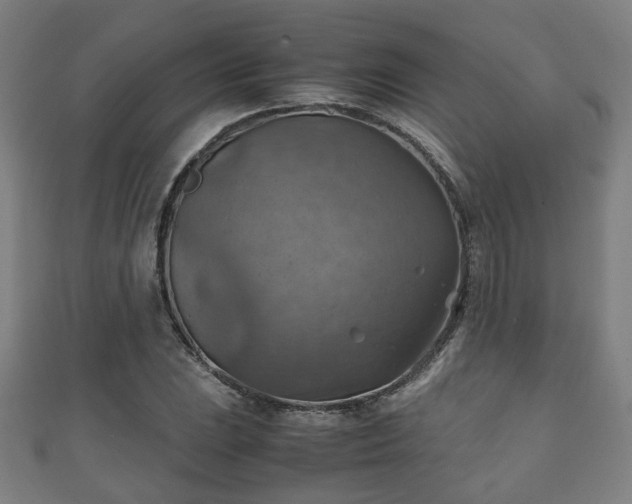 X0000111351023200907171138