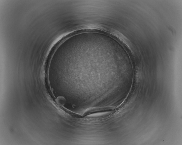 X0000111351024200907171138