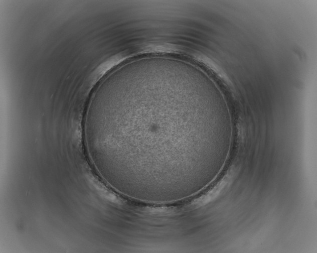 X0000111351025200907171138