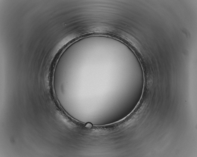 X0000111351026200907171138