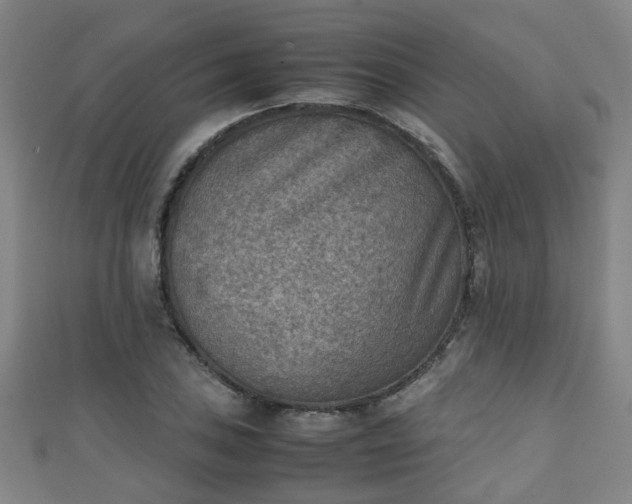 X0000111351027200907171138