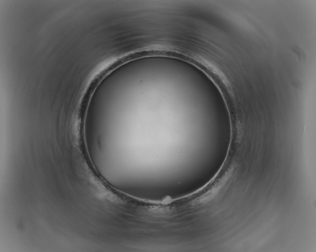 X0000111351029200907171138