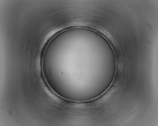 X0000111351030200907171138