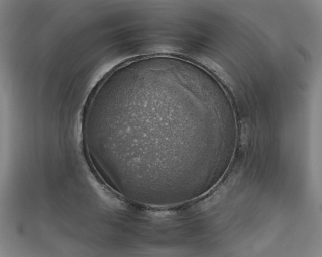 X0000111351031200907171138